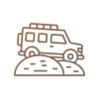 safari safari